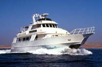 Ghazala Voyager