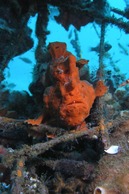 © copyright by Frank Baetz