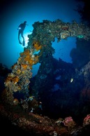 © copyright by Rodger Klein