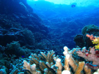 © copyright by Kabaira Beach Hide Away