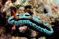 © copyright by Johannes Weber