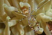 © copyright by Wolfgang Gabriel