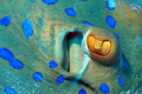 © copyright by Johannes Weber