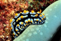 © copyright by Johannes Weber