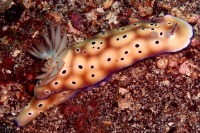 © copyright by Johannes Weber