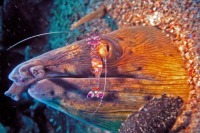 © copyright by Rene Baumann