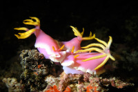 © copyright by Jenny Sadzik