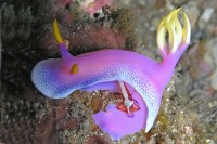 © copyright by Thomas Lueken