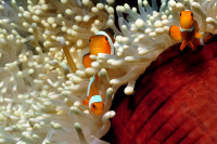 © copyright by Johannes Weber