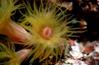 © copyright by Elmar Juenger