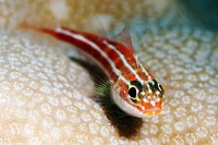 © copyright by Markus Moessner