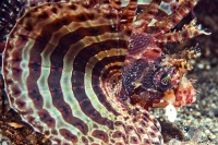 © copyright by Markus Moessner