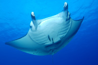 © copyright by Sch&ouml;ner Tauchen