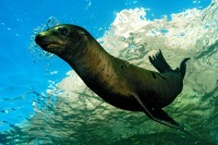 © copyright by Ingrid Hansen