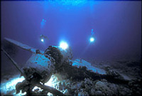 © copyright by Fish &acute;n Fins