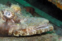 © copyright by katrin wittig