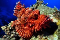 © copyright by Johannes Weber