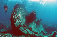 © copyright by Sinai Divers