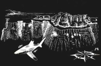 © copyright by Diversion Dive Travel