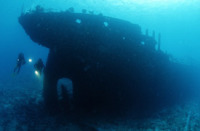 © copyright by Diversion Dive Travel