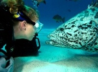 © copyright by prodive