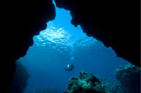 © copyright by Manta Ray Bay Resort