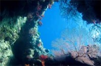 © copyright by Waidroka Bay Resort