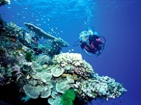© copyright by prodive