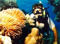 © copyright by prodive