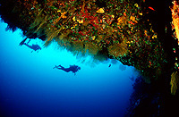 © copyright by spiritoffreedom.com.au