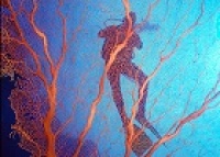 © copyright by tufi dive resort