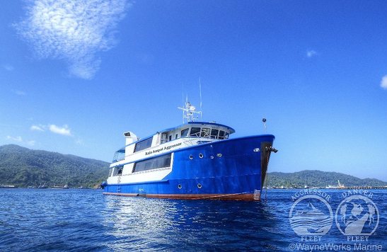 © copyright by Aggressor Fleet