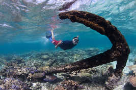 © copyright by Mike Ball Dive Expedition