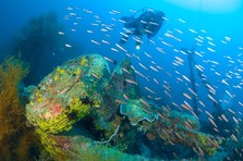 © copyright by Bilikiki