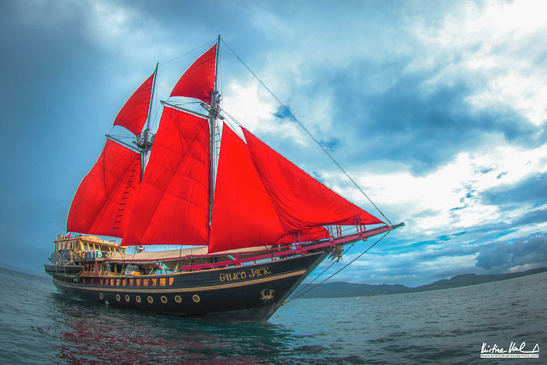 © copyright by Calico Jack
