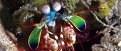 © copyright by Wakatobi