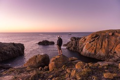 © copyright by Andrew Fox