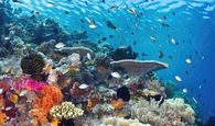 © copyright by Wakatobi / Warren Baverstock