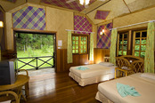 © copyright by Sepilok Nature Resort