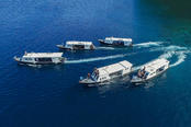 © copyright by Lembeh Resort