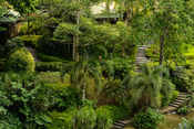 © copyright by Lembeh Resort