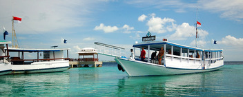 © copyright by Wakatobi