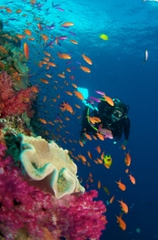 © copyright by Ra Divers
