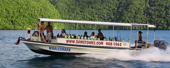 © copyright by Nick Martorano www.oceanwonders.org / Sam&acute;s Tours