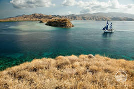 © copyright by Indo Aggressor