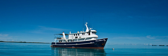 © copyright by Ocean Hunter III