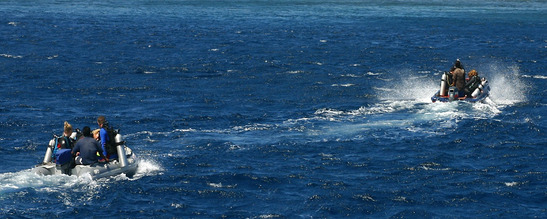 © copyright by Moana Crusing