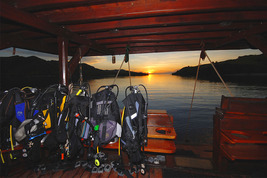 © copyright by Moana Cruising