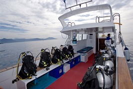 © copyright by Gangga Divers