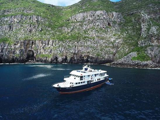 © copyright by Galapagos Master / Marcel Wilpernig